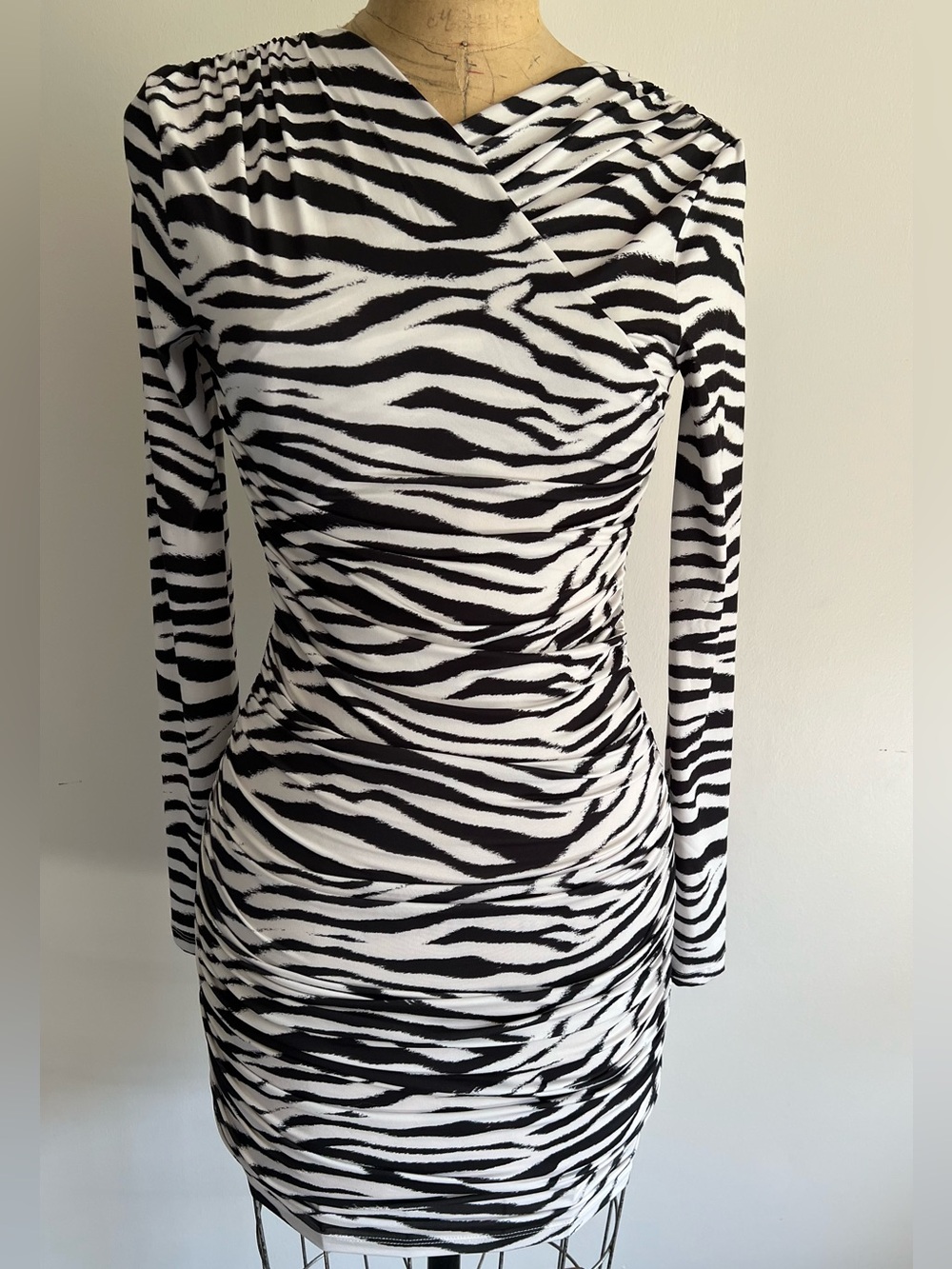 H&M Zebra-Print Long Sleeve Bodycon Dress